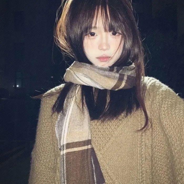 淫兽 被盯上的偶像 封面